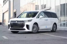 
										Voyah Dreamer EV full									