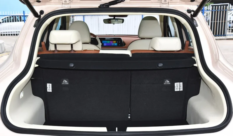 
								GWM Ora Funky Cat full									