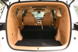 
										Voyah Dreamer PHEV full									