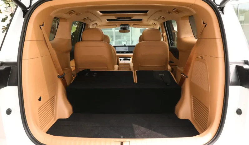 
								Voyah Dreamer PHEV full									