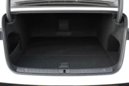 
										Voyah Passion PHEV full									