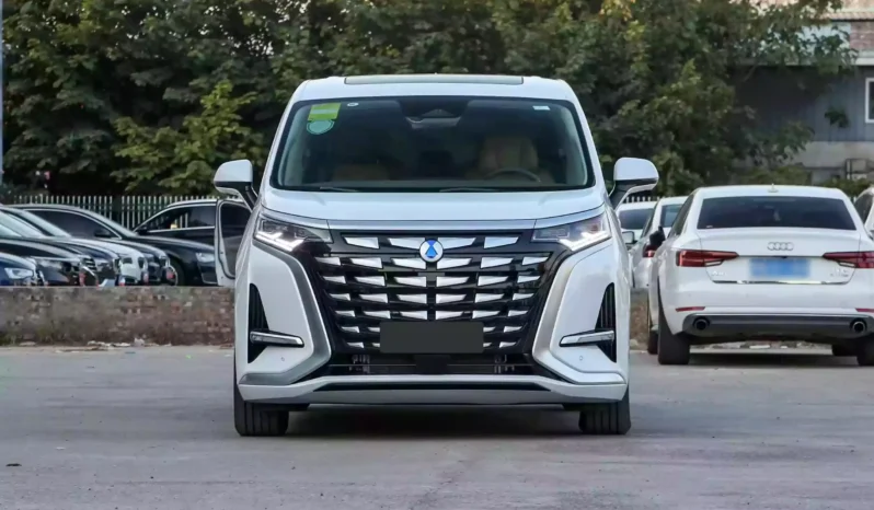 Imgi 4 Denza D9 DM i 2023 appearance