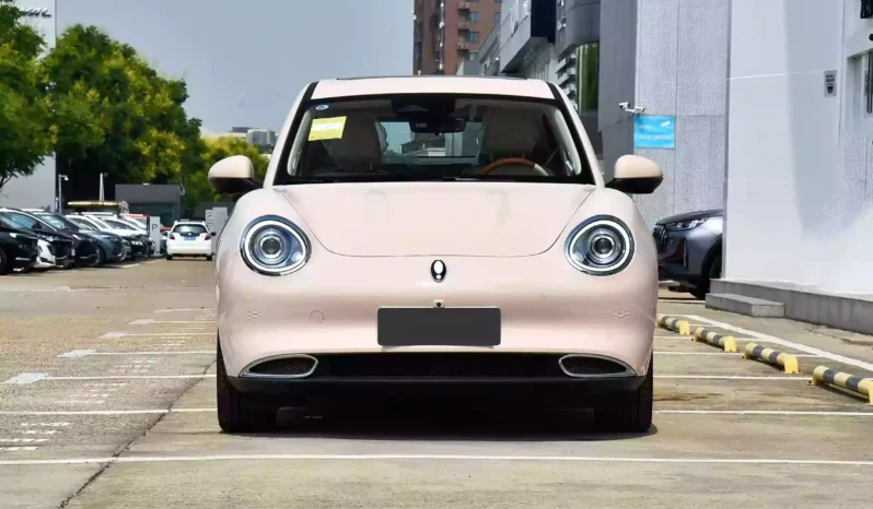 Imgi 4 GWM Ora Funky Cat 2023 appearance