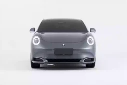 GWM Ora Lightening Cat