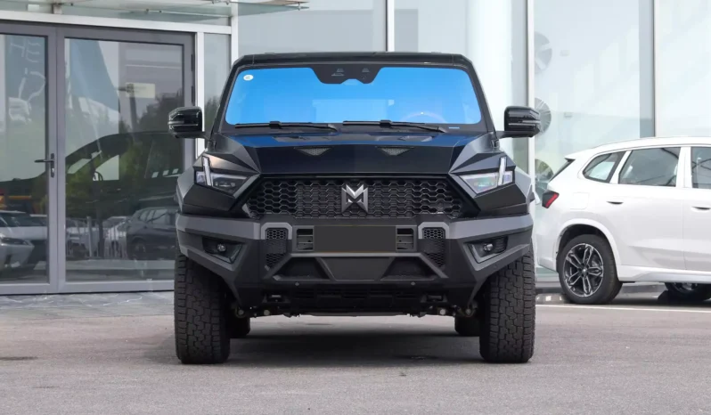 Imgi 4 M Hero 917 EV 2023 appearance