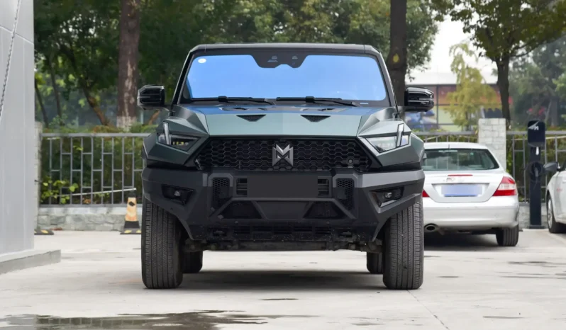 Imgi 4 M Hero 917 REEV 2023 appearance