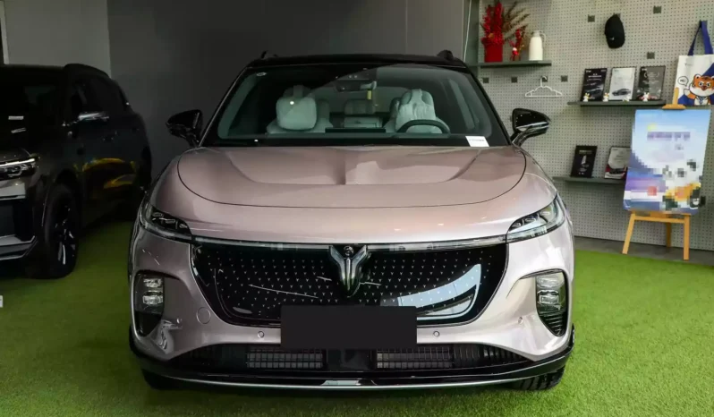 Imgi 4 Voyah Courage 2024 appearance