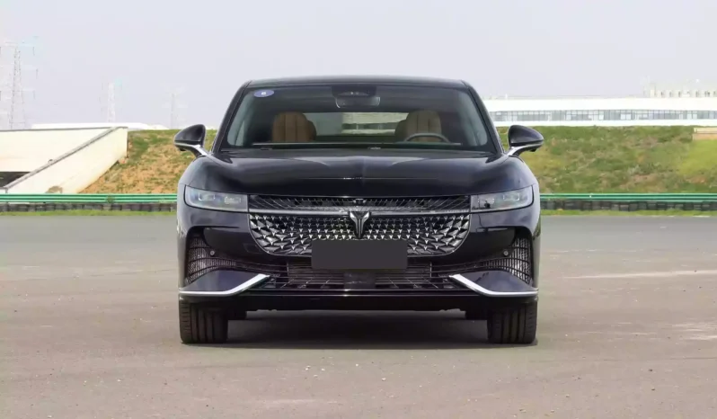 Imgi 4 Voyah Passion PHEV 2024 appearance