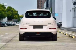 
										GWM Ora Funky Cat full									