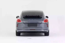 
										GWM Ora Lightening Cat full									