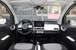 
										Wuling Hongguang MINI EV full									